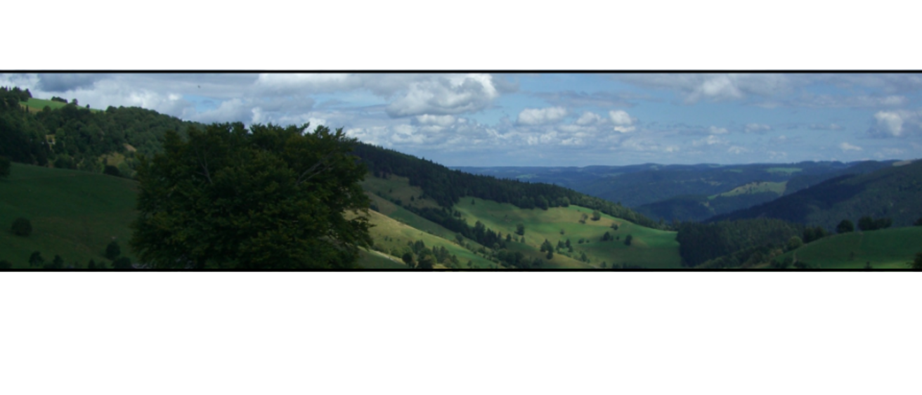 landscape of the Caucasus mountains